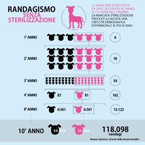 Randagismo