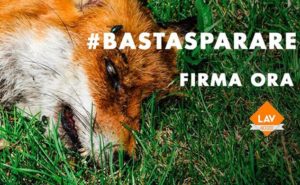 Campagna Basta Sparare della LAV